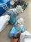 Vento XLG Deluxe Blue/White 37