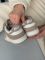 DUNK LOW Sail/ Beige 36