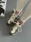 NB1906A Green 36