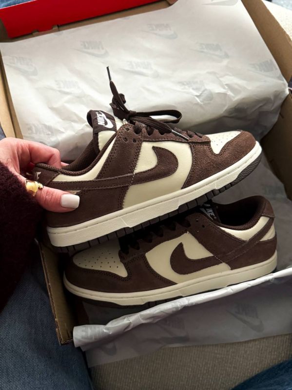 Dunk Low  Brown 41