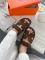 Hermes Sandals Brown 36