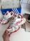 Vento XLG  Deluxe White/Red 37