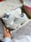 9060 Full  White 37