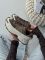 Zoom Roam Light Bone/ Mink Brown-Court Purple 36