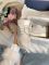Rowley XLT Beige 36