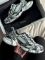 3XL Extreme Laces Black Logo 37