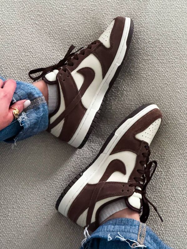 Dunk Low  Brown 41