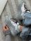 ACG Mountain Fly 2 Gore-Tex