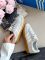 Spezial  Lace Grey 36