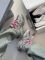 Balenciaga Track Trail Laces WMNS Grey/Pink 36