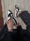 Dunk SB Dunk Black Croc 36